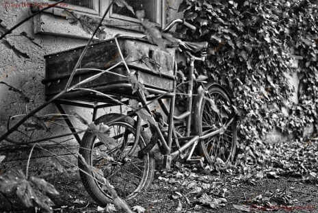 HDR_K_2