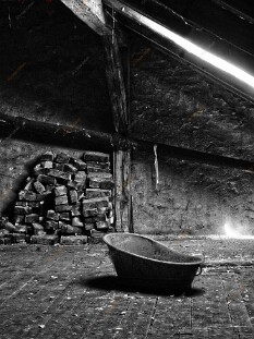 Z11_HDR1_DSC01895