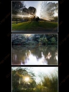 Collage121
