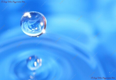 DSC00367_1