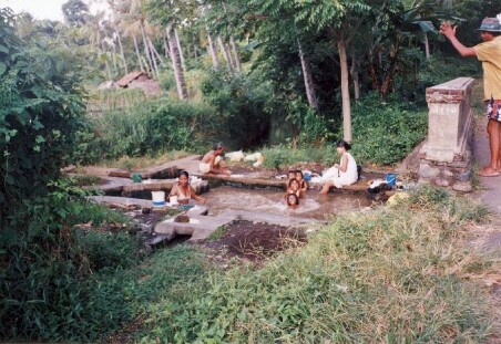 bali003