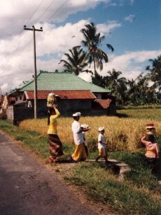 bali012