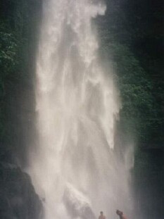 bali017