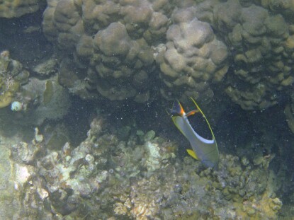 P5030329
